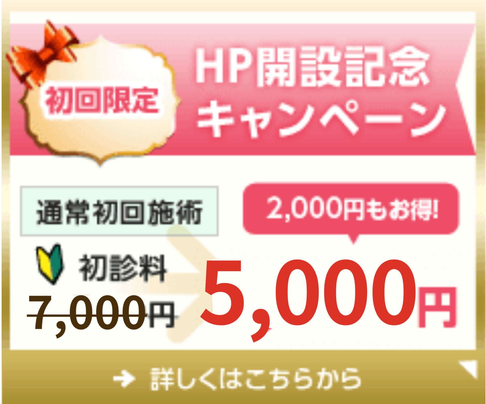HP開設記念キャンペーン
